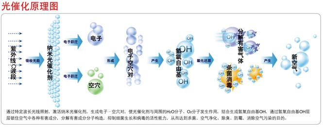 光触媒、生物酶除甲醛【佛山】